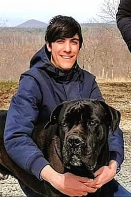 Cane Corso cuccioli