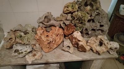 Giardini rocciosi: roccette, piccole, medie, grandi