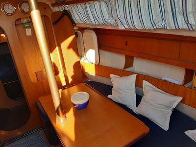 Natatnte a vela Comet 910, prezzo trattabile - Foto 6