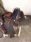 Sella western Brad Ren's