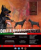 Cuccioli dobermann alta genealogia