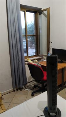 Papagalli - Foto 2