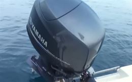 Motore Yamaha 40 cv 4tempi 16valvole