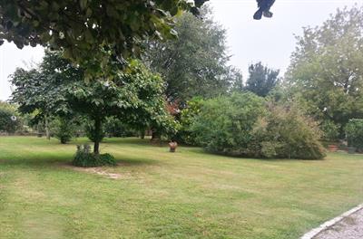 Dog sitter pensione cani dog sitting