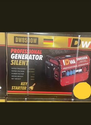 Generatore di corrente DW professional