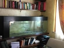 Acquario 400 lt.