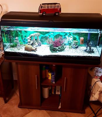 Acquario 100 Lt completo