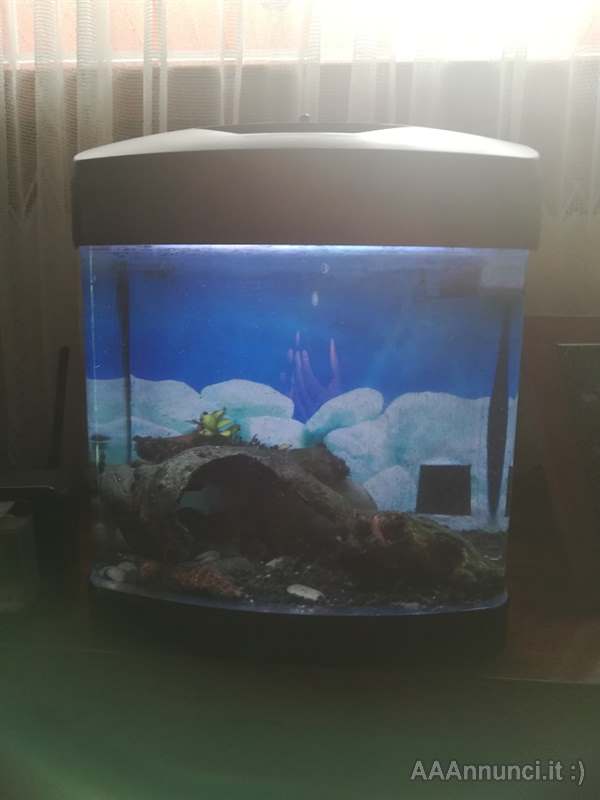 Acquario cube con accessori