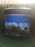 Acquario cube con accessori