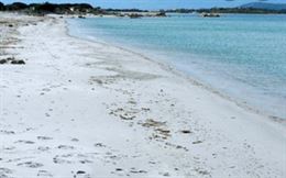 30 minuti da Olbia/ 25€ al giorno/ dal 30 agosto