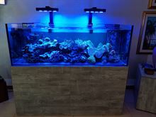 Acquario 600 litri