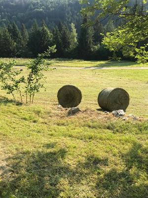 fieno di buona qualità in balloni