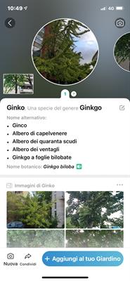 Foto - 7