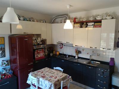 Cucina + Soggiorno LUBE ALESSIA