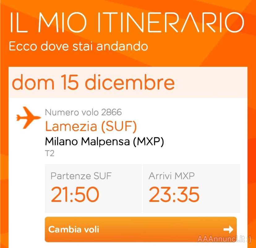 Biglietto Lamezia - Milano 15/12