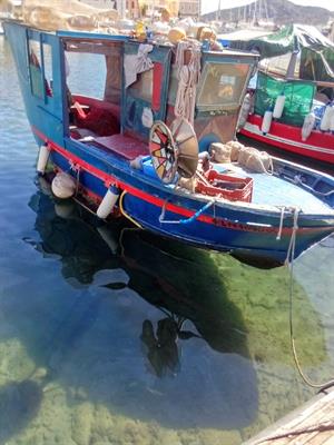 Barca da pesca professionale