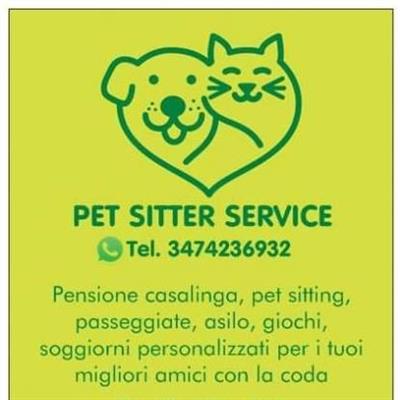 Dog sitter Bologna. Asilo