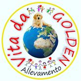CUCCIOLI GOLDEN RETRIEVER