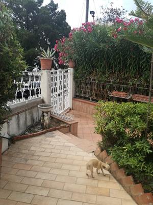 Villetta indipendente scalea - Foto 6