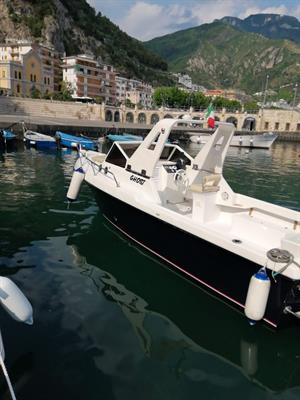 Pilotina laver Marlin 21 con motore Mercury pro 40 70 - Foto 2
