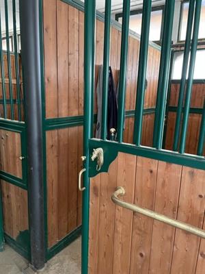 Box da interno per cavalli