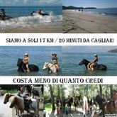 Riservato a chi ama i cavalli