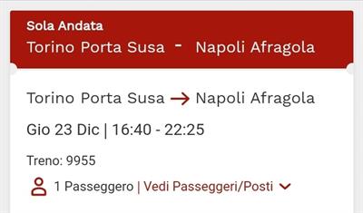 Torino-Napoli