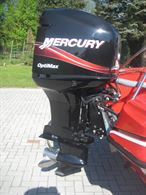 Mercury Optimax 225 L