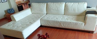 Causa traslocodivano usato in pelle di bufalo bianco
