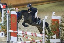 DOPPIO PONY