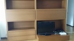 Mobile TV teak Lema