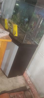 Acquario 250 litri