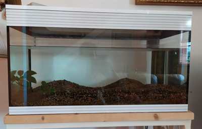 Acquario capacita 94 litri