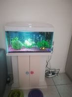 Acquario e mobile