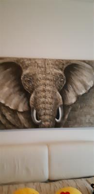 Quadro con Rilievo Elefante